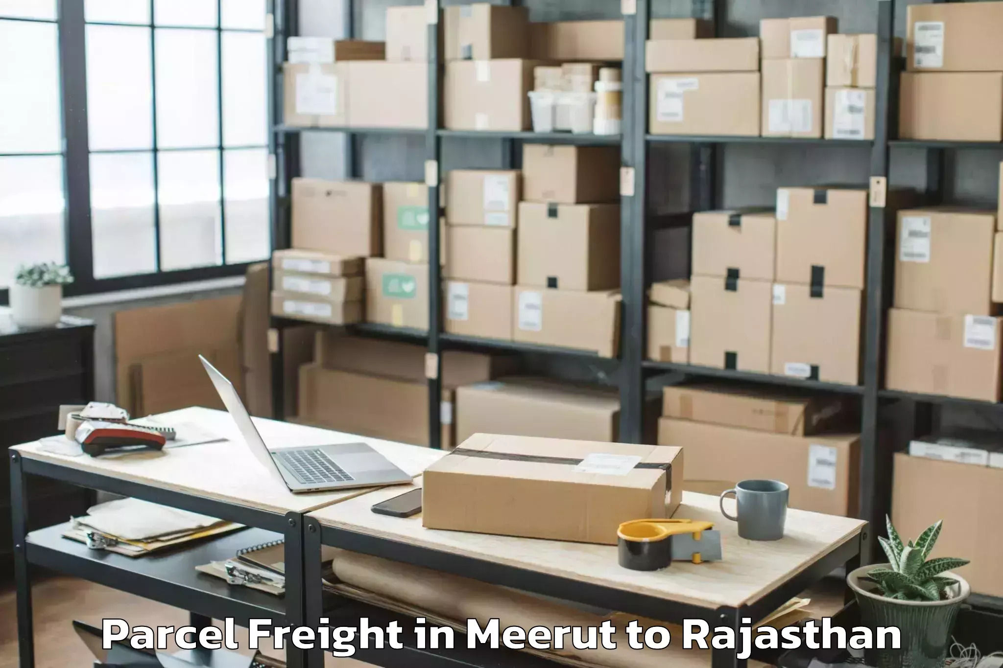 Book Meerut to Jagannath University Jaipur Parcel Freight